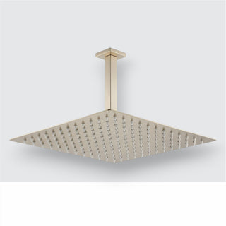 Chuveiro Teto Gold Escovado