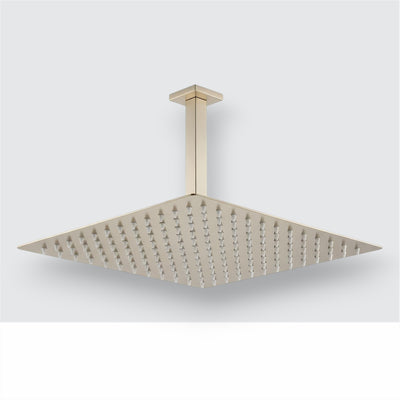 Chuveiro Teto Gold Escovado