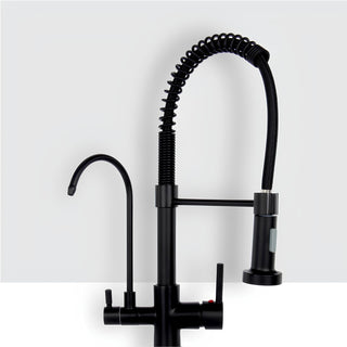 Torneira Cozinha Basic Filtro Black