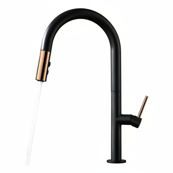 Torneira Cozinha Details