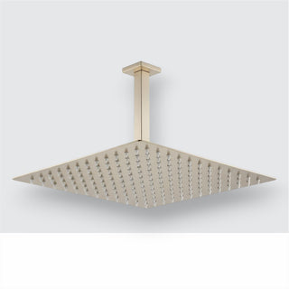 Chuveiro Teto Gold Escovado