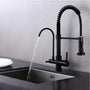 Torneira Cozinha Basic Filtro Black