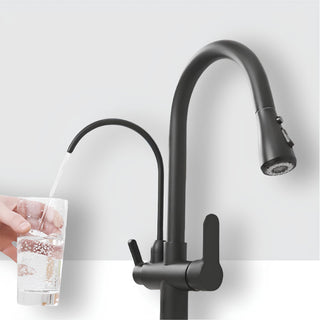 Torneira Cozinha com Filtro Clean